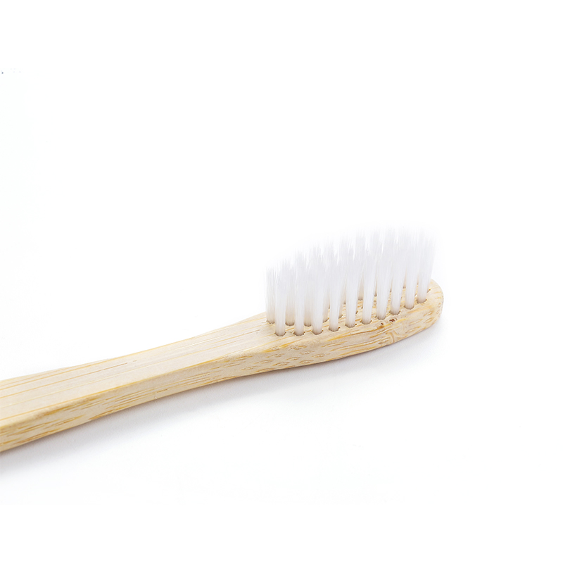 BIOCORN Disposable Toothbrushes with Toothpaste