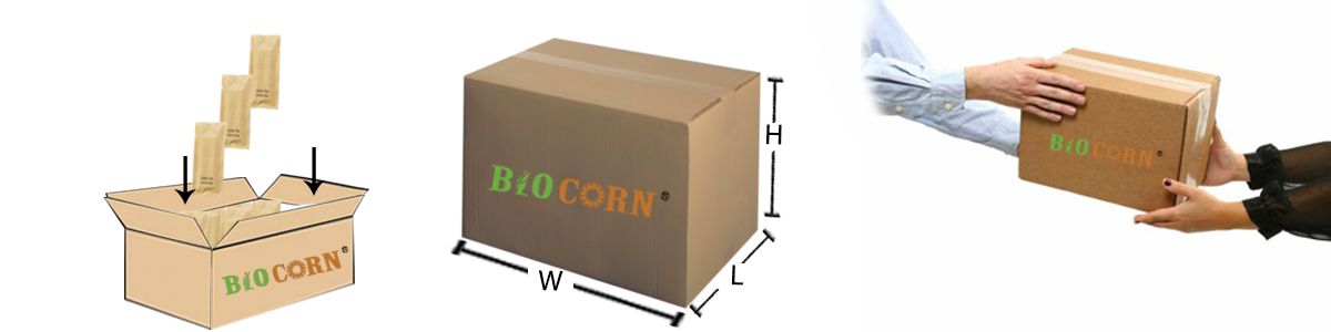 BIOCORN Hotel Cotton Swabs Kit