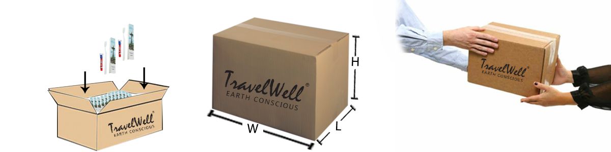 TravelWell Hotel Disposable Toothbrush and Toothpaste